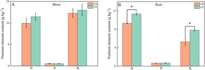 Claroideglomus etunicatum enhances Pteris vittata L. arsenic resistance and accumulation by mediating the rapid reduction and transport of arsenic in roots